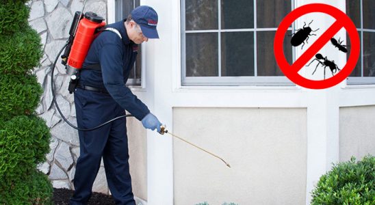 Samsun Akrep İlaçlama böcek ilaçlama ve haşere kontrolü — ilaclama-tr.com